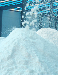 金狮贵宾会·宾至如归-尊贵显赫