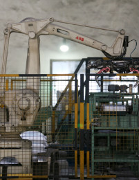 金狮贵宾会·宾至如归-尊贵显赫