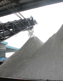 金狮贵宾会·宾至如归-尊贵显赫